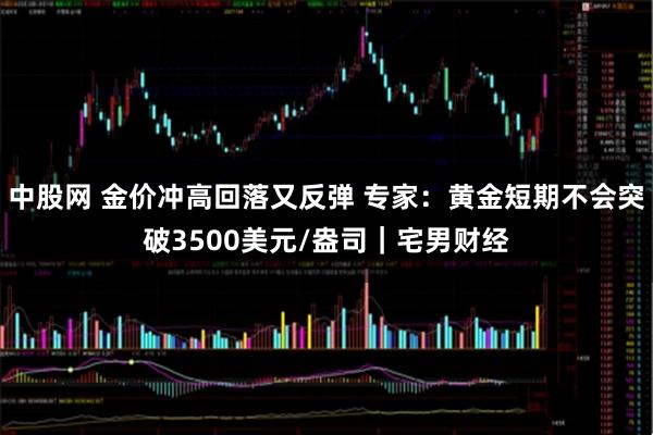 中股网 金价冲高回落又反弹 专家：黄金短期不会突破3500美元/盎司｜宅男财经