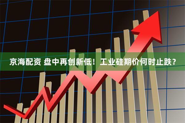 京海配资 盘中再创新低！工业硅期价何时止跌？