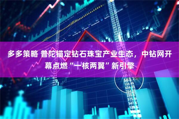 多多策略 普陀锚定钻石珠宝产业生态，中钻网开幕点燃“一核两翼”新引擎