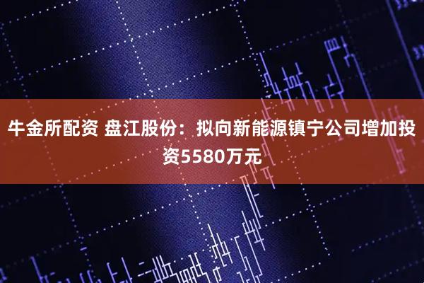 牛金所配资 盘江股份：拟向新能源镇宁公司增加投资5580万元