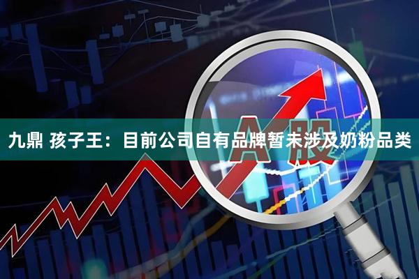 九鼎 孩子王：目前公司自有品牌暂未涉及奶粉品类