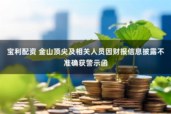 宝利配资 金山顶尖及相关人员因财报信息披露不准确获警示函