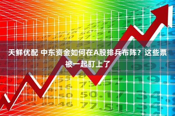 天鲜优配 中东资金如何在A股排兵布阵？这些票被一起盯上了