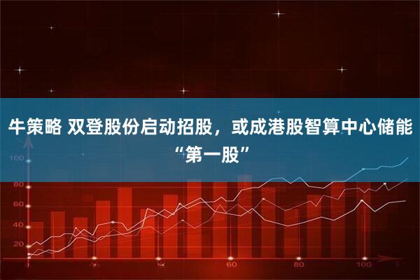 牛策略 双登股份启动招股，或成港股智算中心储能“第一股”