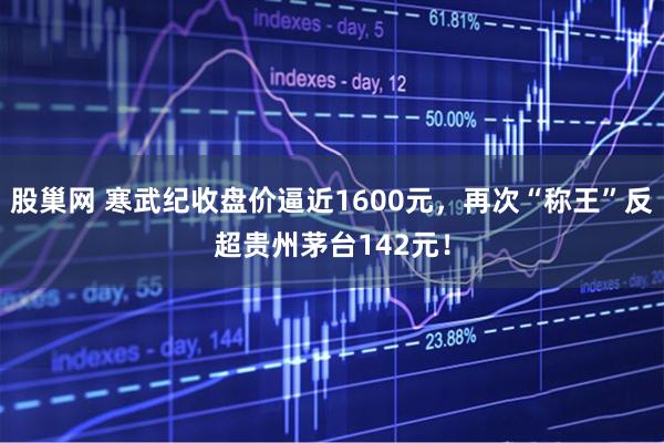 股巢网 寒武纪收盘价逼近1600元，再次“称王”反超贵州茅台142元！