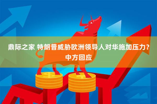 鼎际之家 特朗普威胁欧洲领导人对华施加压力？中方回应