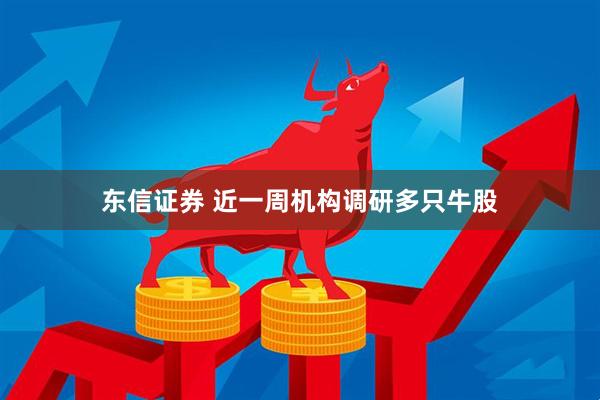 东信证券 近一周机构调研多只牛股
