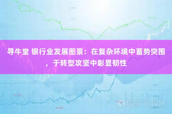 寻牛堂 银行业发展图景：在复杂环境中蓄势突围，于转型攻坚中彰显韧性