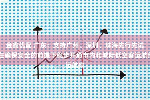 金鑫优配 广东：支持广州、深圳、珠海先行先试 在确保安全的前提下稳步开通市内和城际低空客运航线