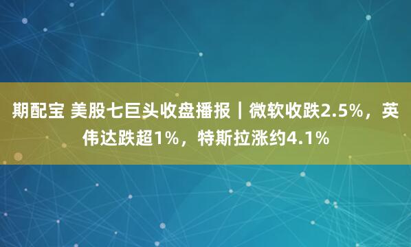 期配宝 美股七巨头收盘播报｜微软收跌2.5%，英伟达跌超1%，特斯拉涨约4.1%
