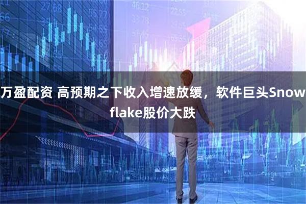 万盈配资 高预期之下收入增速放缓，软件巨头Snowflake股价大跌