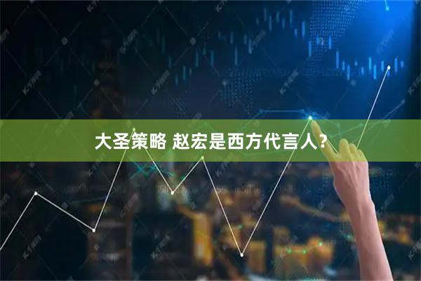 大圣策略 赵宏是西方代言人？