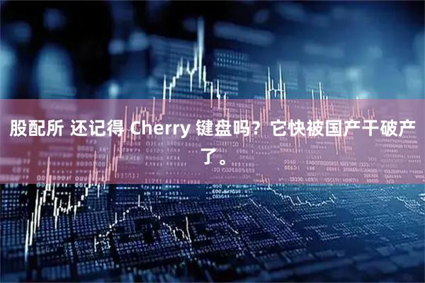 股配所 还记得 Cherry 键盘吗？它快被国产干破产了。